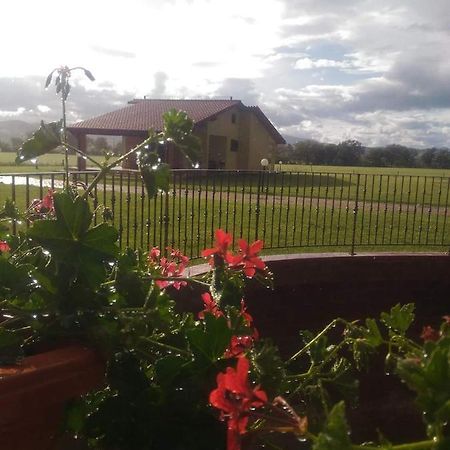 Agriturismo Oasi Del Pianettino Campagnatico Exterior foto