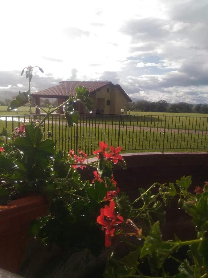 Agriturismo Oasi Del Pianettino Campagnatico Exterior foto