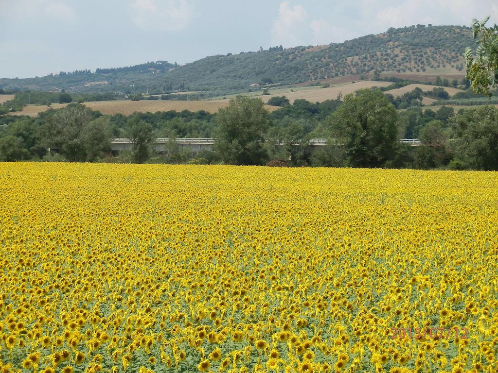 Agriturismo Oasi Del Pianettino Campagnatico Exterior foto